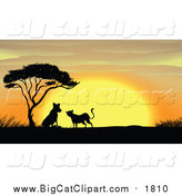 Big Cat Cartoon Vector Clipart of a Silhouetted Leopards by an Acacia Tree at Sunset by