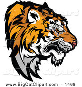 Vector Clipart of a Growling Tiger Prepared to Strike - Head Profile Version by Chromaco